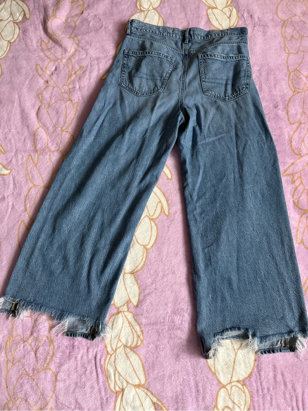 American Eagle Baggy Wide Leg